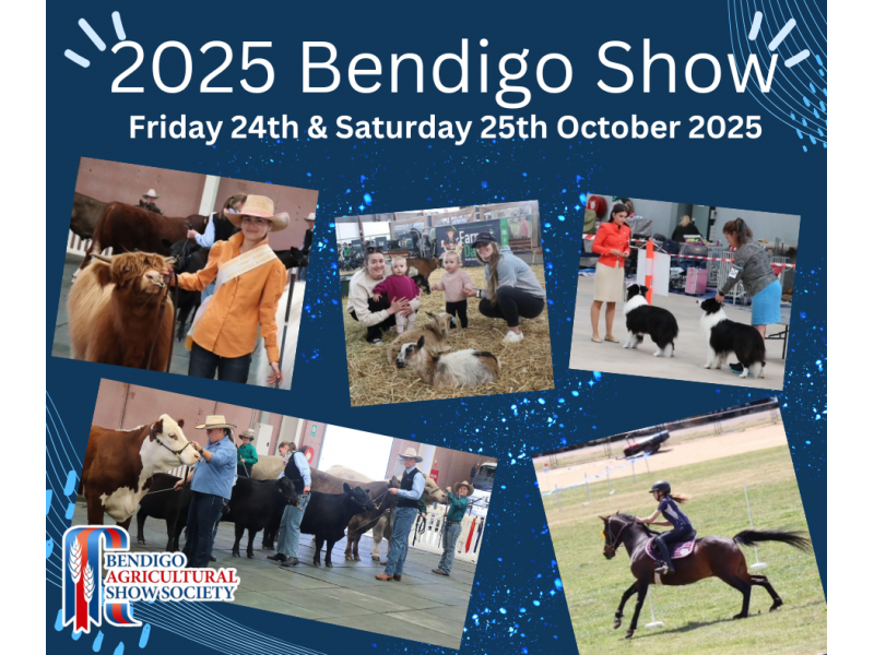 2025-bendigo-show