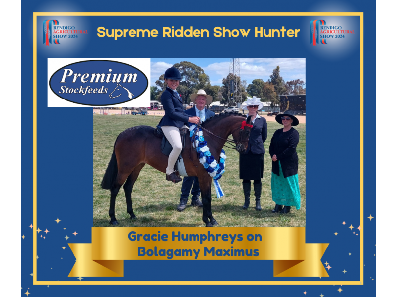 supreme-ridden-show-hunter