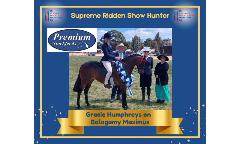 supreme-ridden-show-hunter