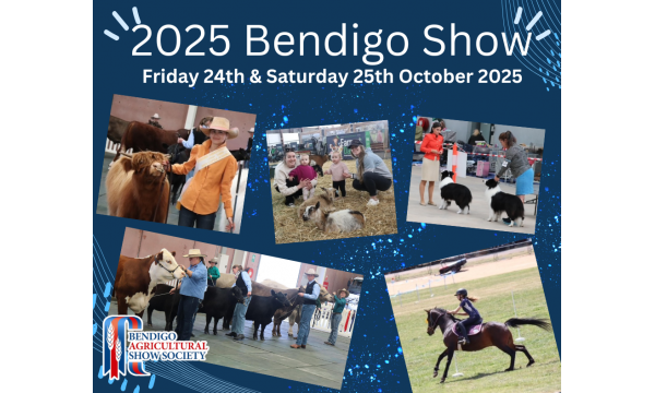 2025-bendigo-show