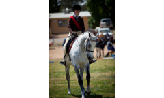 bendigoshow-281019-076