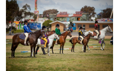 bendigoshow-281019-077