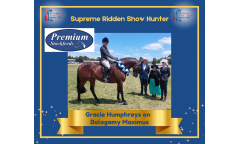 supreme-ridden-show-hunter-1